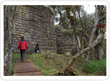 A visitor explores the Temple Fortress of Kuelap during a private guided tour of the ancient Peruvian archaeological site. 