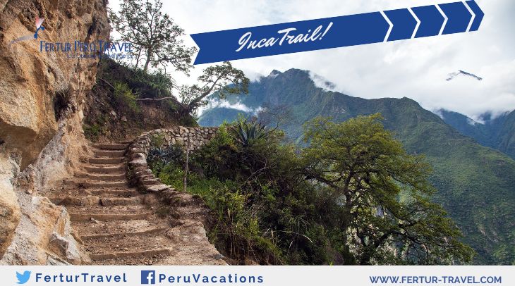 inca trail 2 days - Image inca trail made of stones and surrounded by vegetation