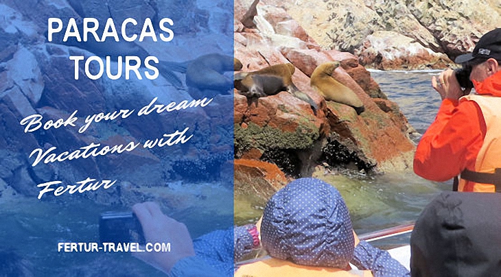 Tourists get up close to photograph sea lions in their natural marine habitat on the Ballestas Islands - Paracas, Peru