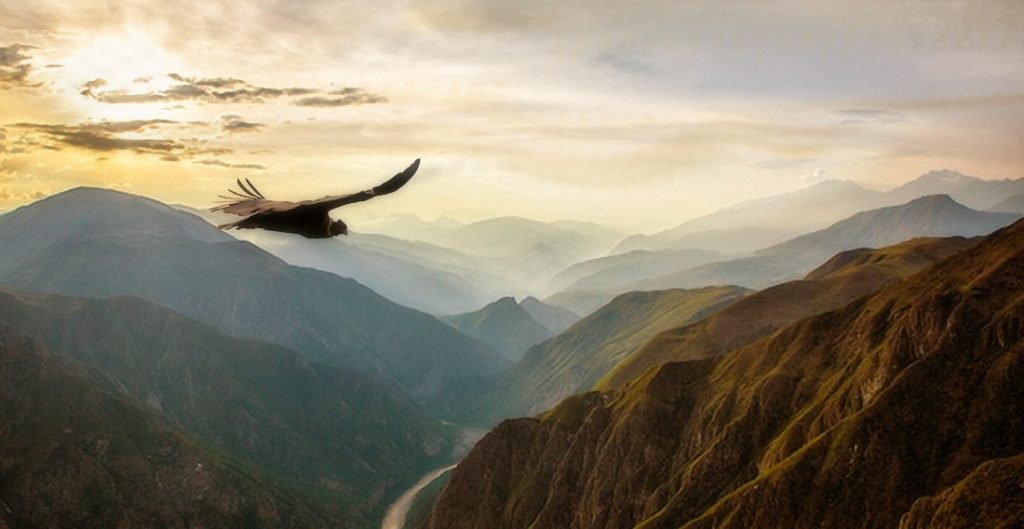 Representación mejorada con IA de un cóndor andino sobrevolando el valle de Chonta, en Cuzco.