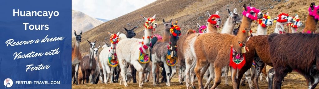 Huancayo - Callejon de Huaylas