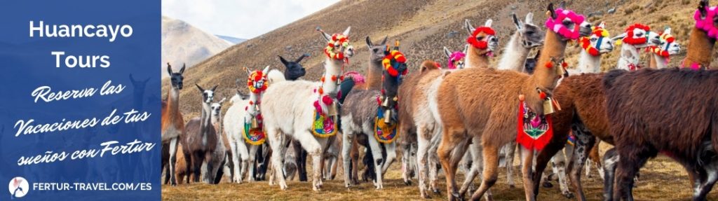 Huancayo - Callejon de Huaylas