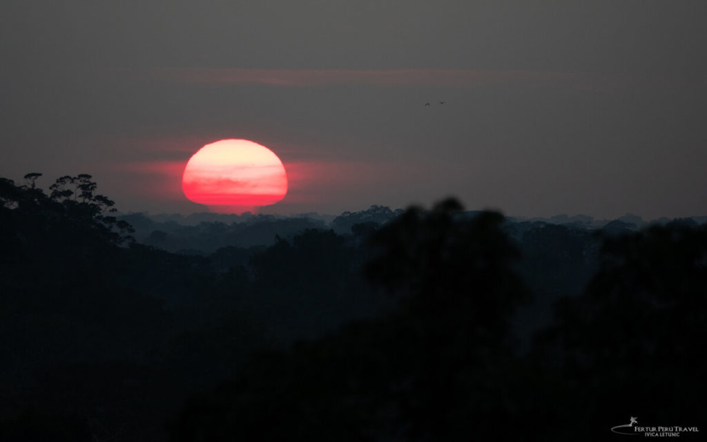 Incredible sundown over the jungle canopy of the Tambopata rain forest reserve in Peru