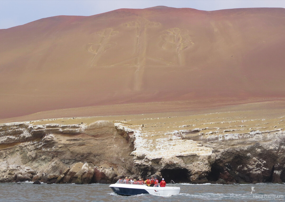 This boat tour takes you to the heart of one of the world's great marine wildlife preserves.