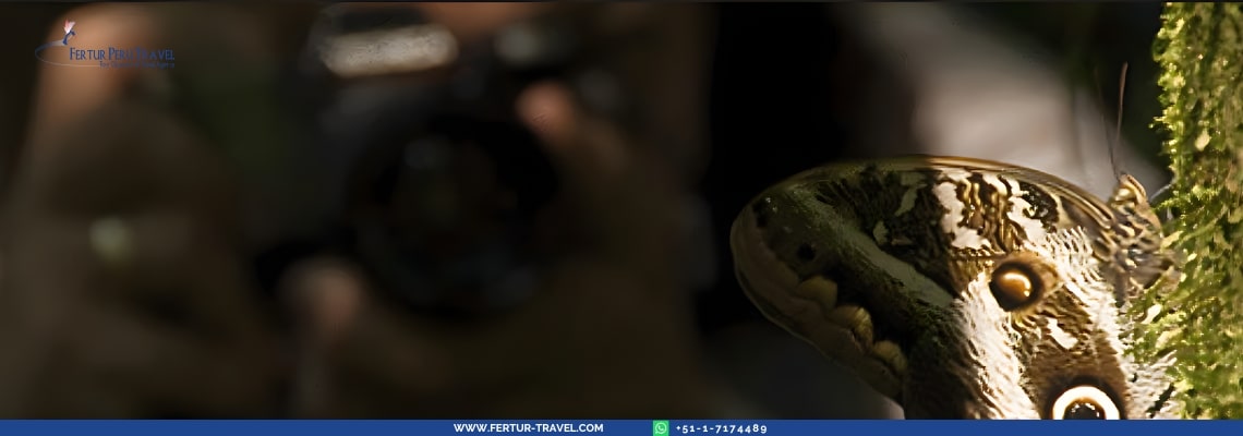 Tambopata Photography Tour