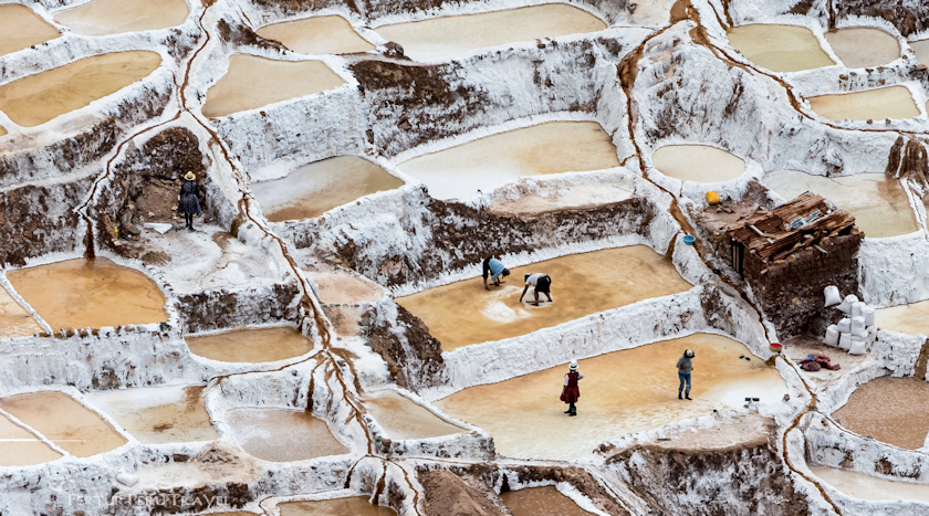 harvesting salt at the salt pans of mares cusco peru