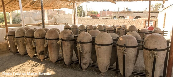 pisco and wine vineyard tours in ica peru